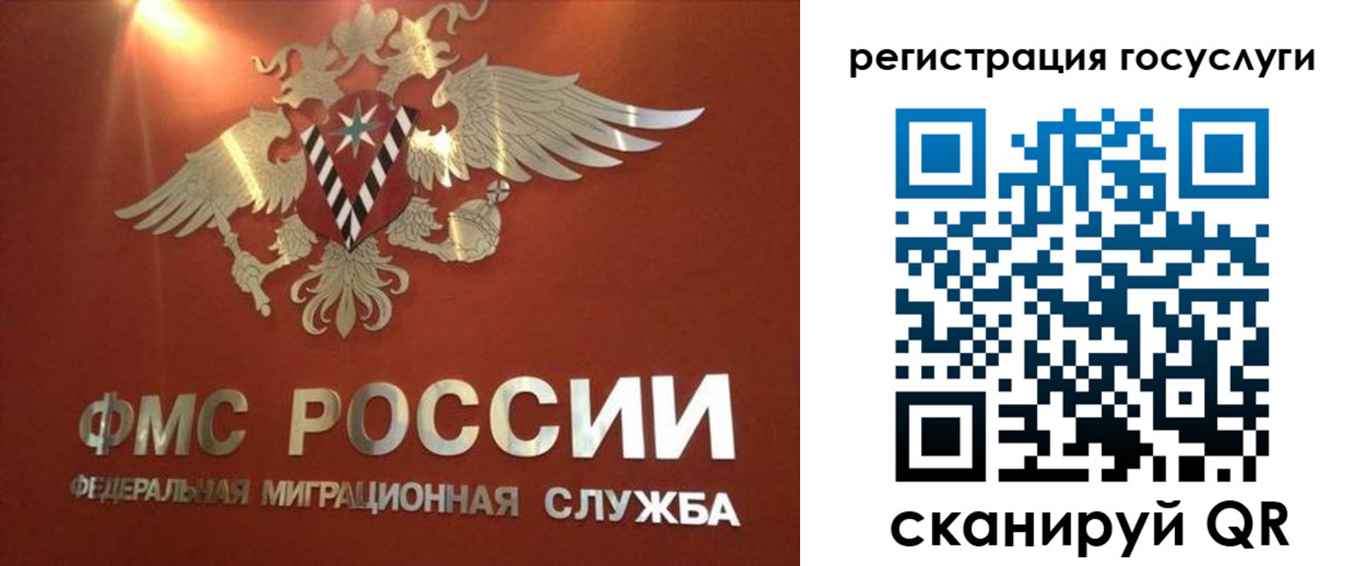 прописка ребенка в Нелидово